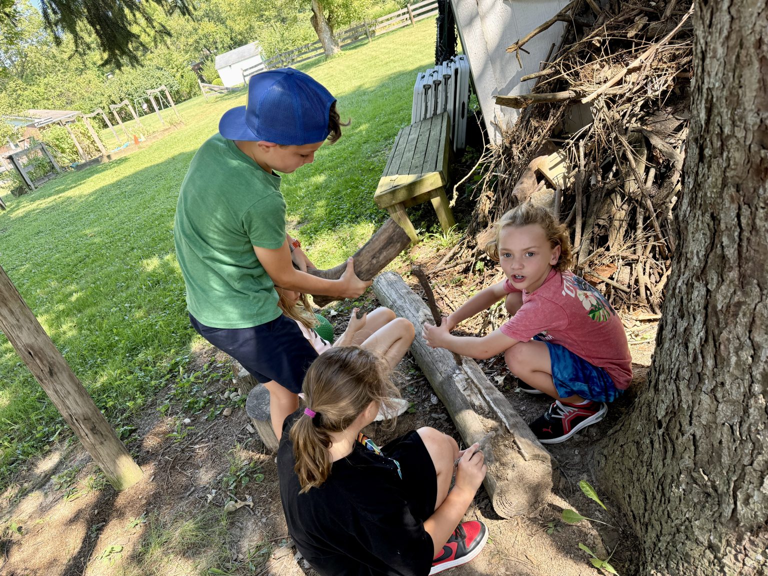 Students exploring outdoors by a large tree